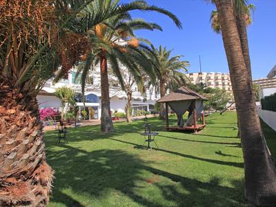 Green hotel garden with palm trees, wooden benches, and blue sky in the background.