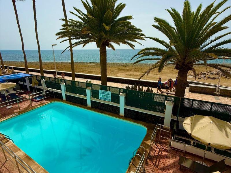 Widok na basen z palmami i morzem w tle pod czystym niebem.