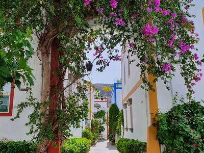 Enger gepflasterter Weg mit Blumen überhängenden Bögen zwischen weiß und gelb gestrichenen Gebäuden.