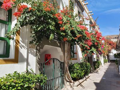 Sonnige enge Gasse mit Blumen an weißen Häusern und grünen Türen.
