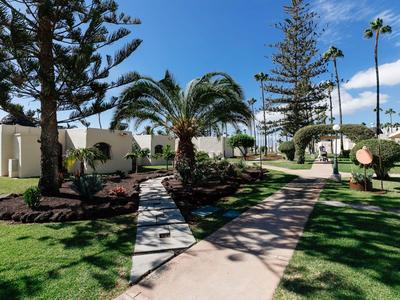 Green hotel garden with various palm trees and a paved path under a blue sky.