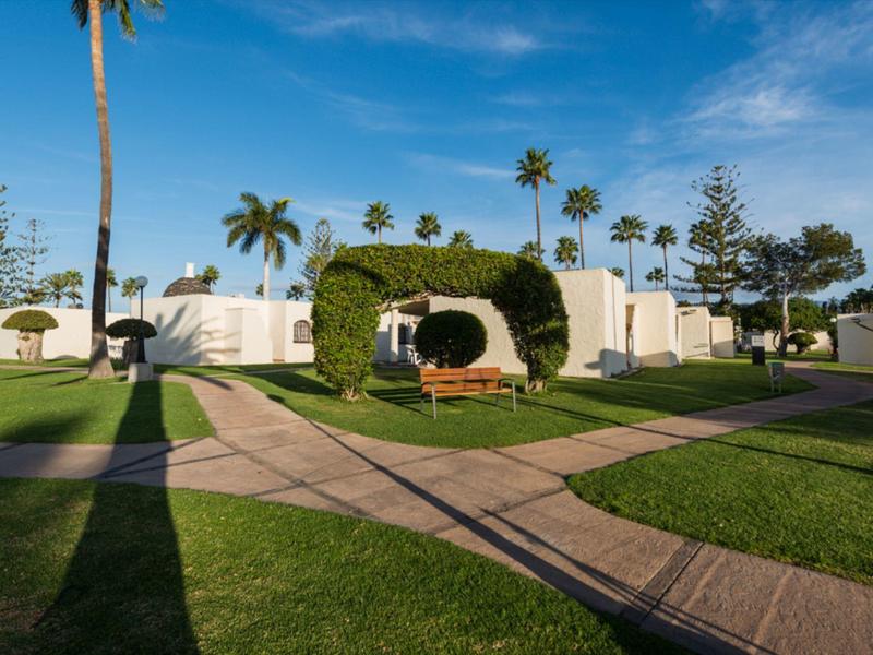 Well-kept hotel garden with palm trees, grassy areas, and bench under green foliage arch.