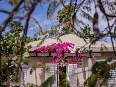 Blooming pink flowers on a house railing behind trees under a blue sky.