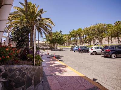 Parking lot with cars and palm trees under clear blue sky in sunny setting.
