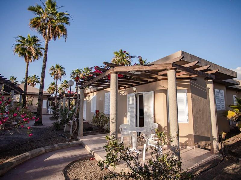 Small holiday house with a terrace, surrounded by palm trees and flowering plants under a clear sky.