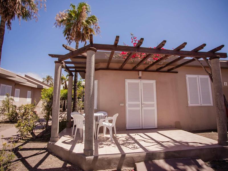Small holiday cottage with patio, table and chairs under a wooden pergola, surrounded by palm trees.