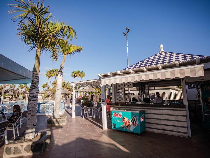 Outdoor area of a beach bar with chairs, tables, and palm trees under a blue sky.