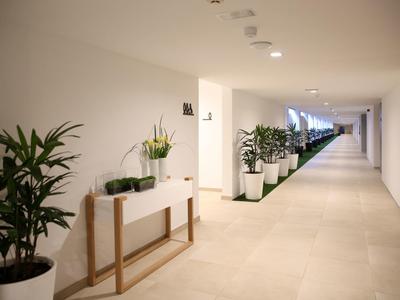 Couloir d'hôtel lumineux avec plantes en pot alignées sur un mur blanc et sol carrelé clair.