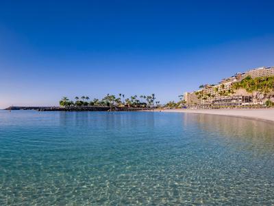 Klares, ruhiges Meer vor einem tropischen Strand mit Palmen unter blauem Himmel.