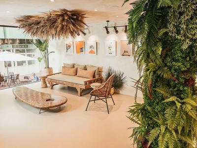 Helles Wohnzimmer mit Holzmöbeln, großen Pflanzen und Dekorationen an der Wand.