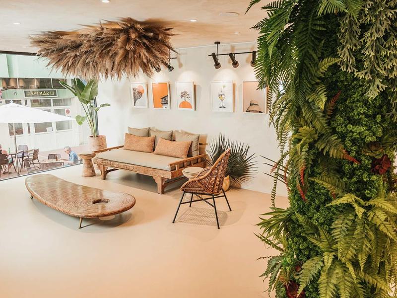 Helles Wohnzimmer mit Holzmöbeln, großen Pflanzen und Dekorationen an der Wand.