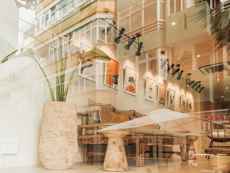 Modern eingerichteter Raum mit Holzmöbeln, großer Pflanze und warmem Licht hinter Glasfront.