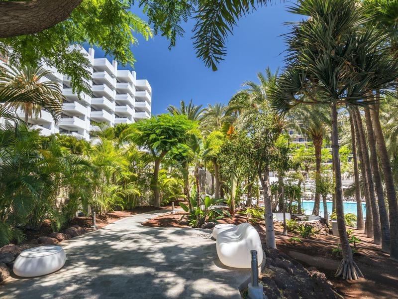 Sunny hotel garden with palm trees, paths, and a view of the pool area.