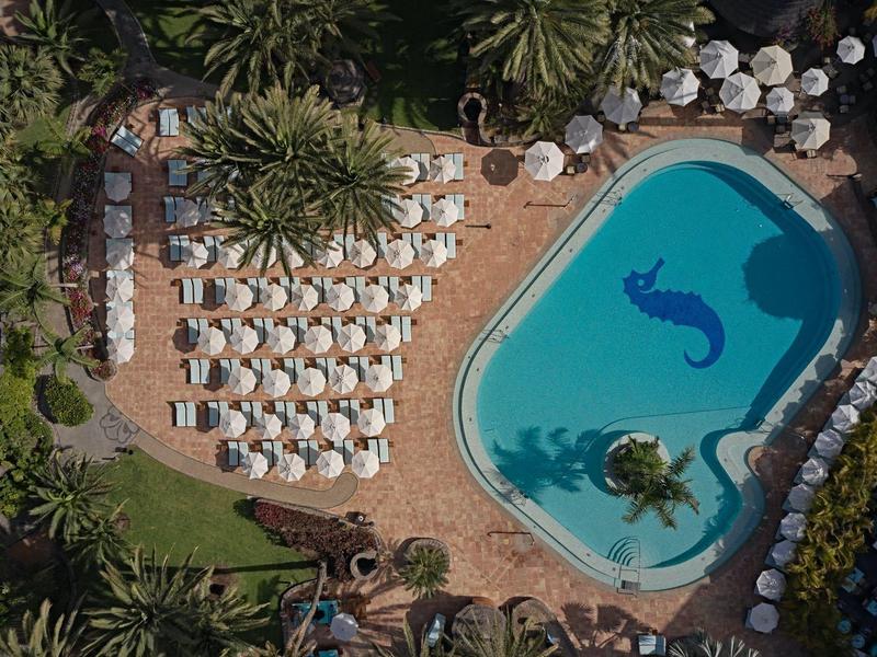 Vista aérea de una piscina con dos azulejos de delfines y tumbonas en una terraza con palmeras.