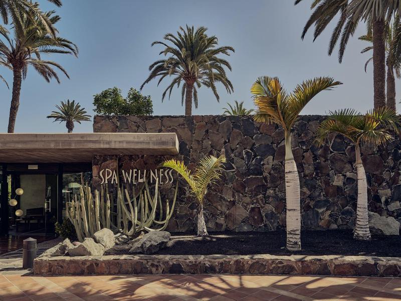 Área de spa y bienestar moderna con palmeras frente a una fachada de piedra bajo cielo claro.