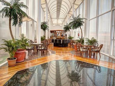 Luxusní hotelový salón s vysokými okny, vnitřními palmami a leštěnou dřevěnou podlahou.