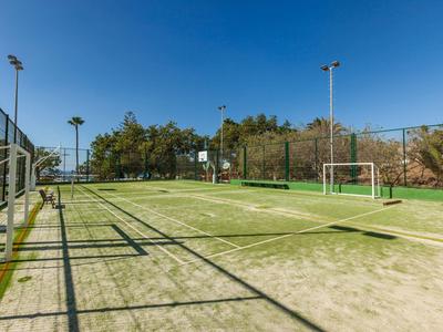 Leerer, grüner Multifunktionssportplatz mit Toren und Zaun unter klarem blauem Himmel.