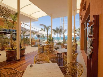 Buitenterras met tafels, stoelen en planten bij een zonnig zwembad en palmbomen.