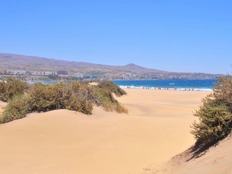 Große Sanddünen mit vereinzelten Büschen und blauem Meer im Hintergrund unter klarem Himmel