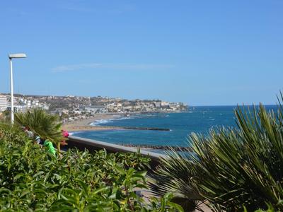 Veduta costiera con cespugli verdi, palme e mare blu sotto un cielo sereno.