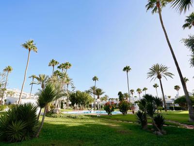 Groene tuin met palmbomen en zwembad onder een heldere blauwe lucht bij een hotel.