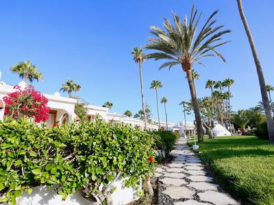 Pathway between white hotel buildings and green garden with palm trees under blue sky.
