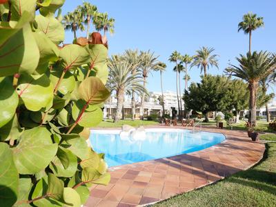 Hotel pool with palm trees and green garden under a blue sky