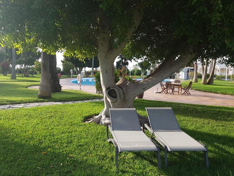 Twee ligstoelen onder een boom in een groene hoteltuin met zwembad op de achtergrond.