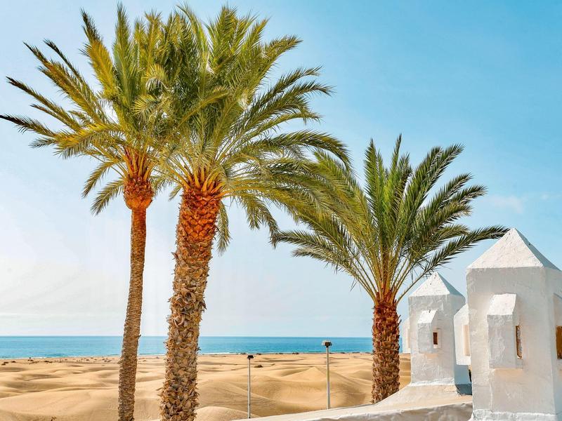 Palmbomen en een wit bouwwerk bij een zandstrand onder een blauwe lucht