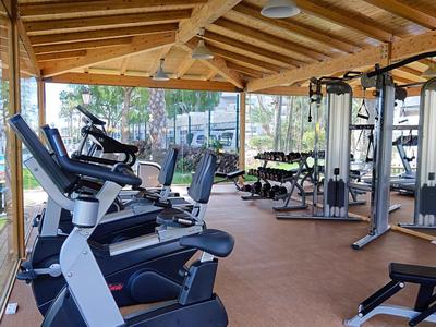 Modern gym with cardio machines and weights under wooden roof with large windows.