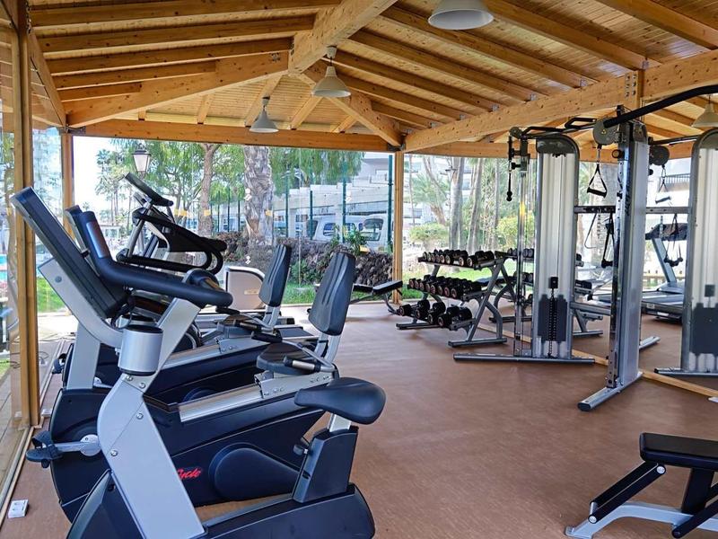 Gym with modern equipment under a wooden roof and large windows overlooking the city.