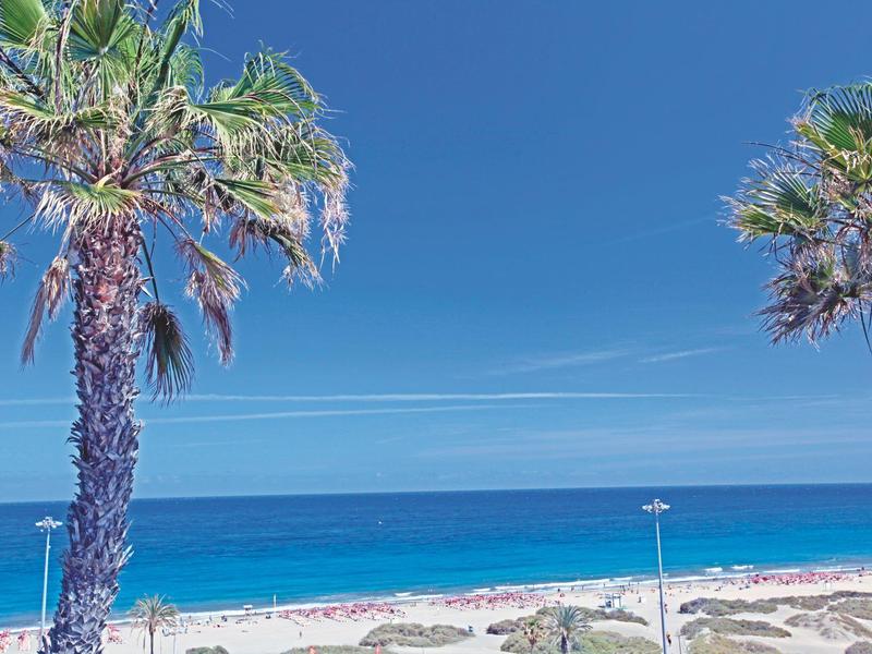Zwei hohe Palmen vor einem blauen Meer und hellem Sandstrand unter klarem Himmel.