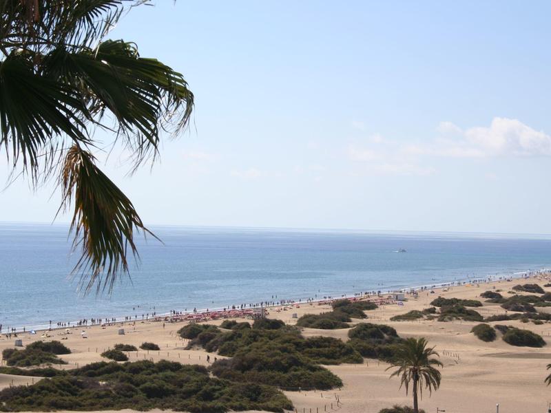 Sandiger Strand mit Dünen und Palmen, ruhiges blaues Meer und blauer Himmel mit wenigen Wolken.