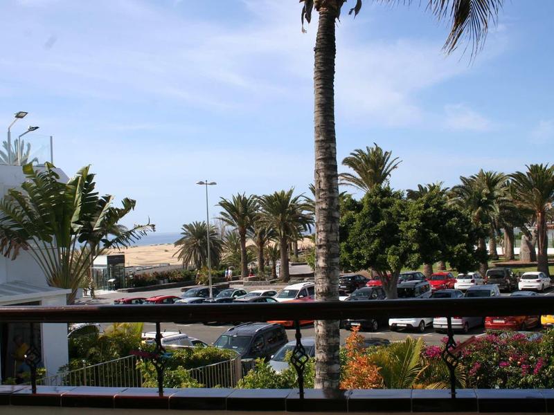 Vue sur un parking avec des palmiers et des arbustes en fleurs sous un ciel dégagé.