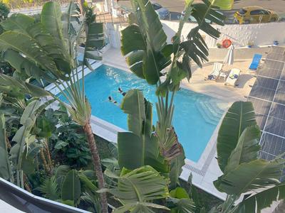 Schwimmbad mit klarem blauem Wasser, umgeben von grünen tropischen Pflanzen und weißen Liegestühlen.