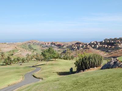 Campo da golf verde con palme e vista su un villaggio vicino al mare