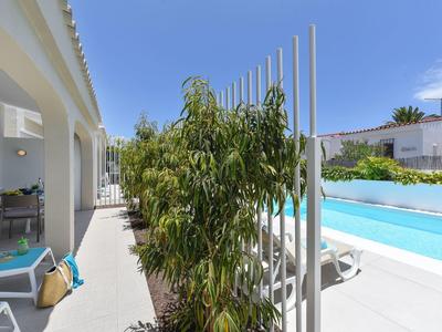 Moderne buitenruimte met zwembad, ligstoelen en plant op heldere terras.