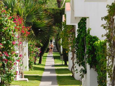 Ein schmaler Weg zwischen weißen Gebäuden, umgeben von grünen Palmen und bunten Blumen.