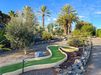 Campo da minigolf con palme e ambiente roccioso sotto un cielo azzurro