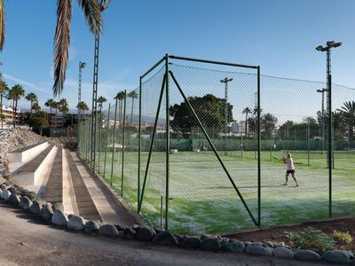 Un campo da tennis con un giocatore sotto un cielo azzurro limpido, circondato da palme e gradinate.