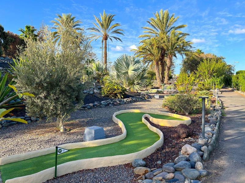 Minigolfbahn mit grünem Kunstrasen, umgeben von Palmen und Steinwegen unter blauem Himmel.