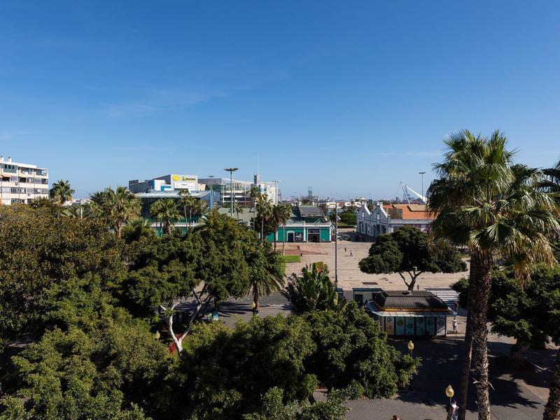 Vista da una terrazza con palme, altri alberi e edifici sotto un cielo azzurro limpido
