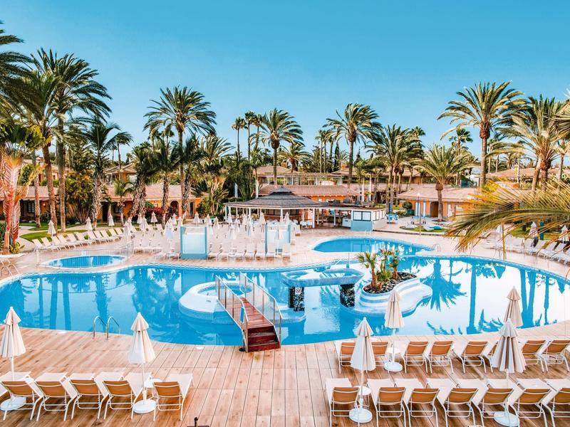 Grande piscina con lettini in un resort soleggiato con palme