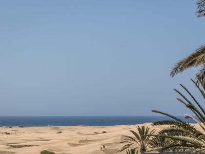Vue sur des dunes de sable avec des palmiers au premier plan et un ciel bleu au-dessus de la mer.