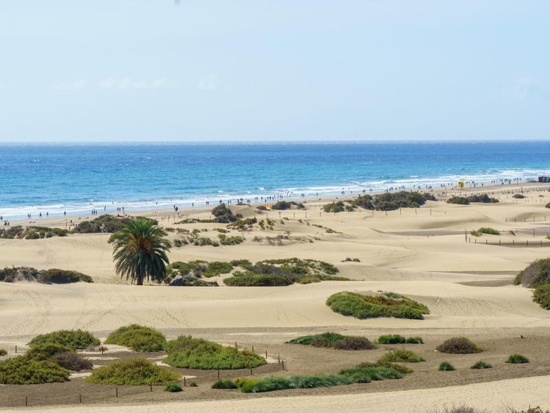 Sanddünen mit grünen Büschen am Strand und blauem Meer im Hintergrund