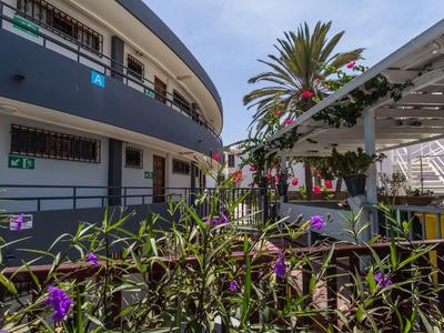 Outdoor area of a hotel with balcony and flowering plants in the foreground.