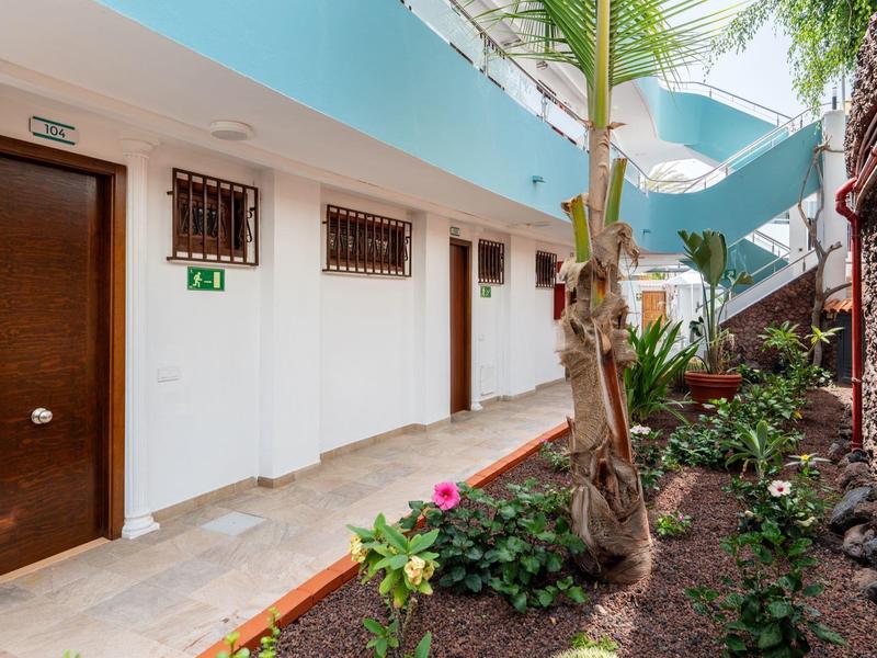 Courtyard with doors and tropical plants in a bright building.