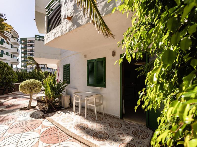 Terraza soleada de un hotel con plantas verdes y cómodas sillas blancas.