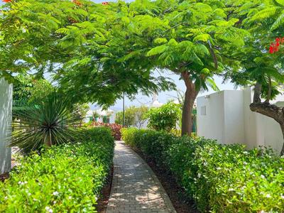 Un chemin en pierre à travers des buissons verts luxuriants et des arbres par une journée ensoleillée.