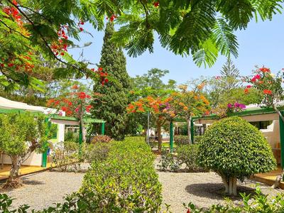 Jardin luxuriant avec buissons taillés, arbres en fleurs et bâtiments verts sous un ciel clair.